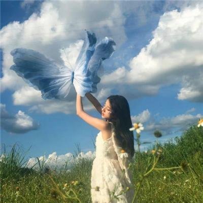表象下的真相