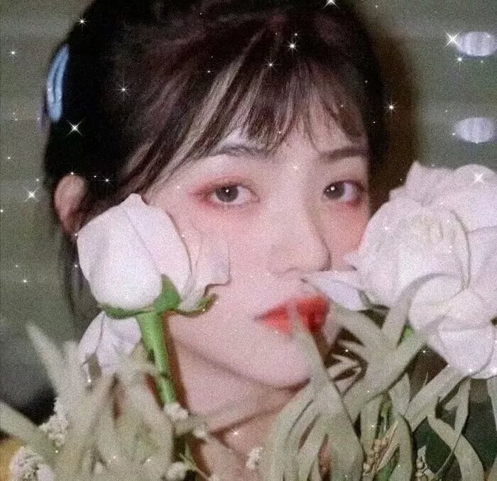 黑白小姐第二季